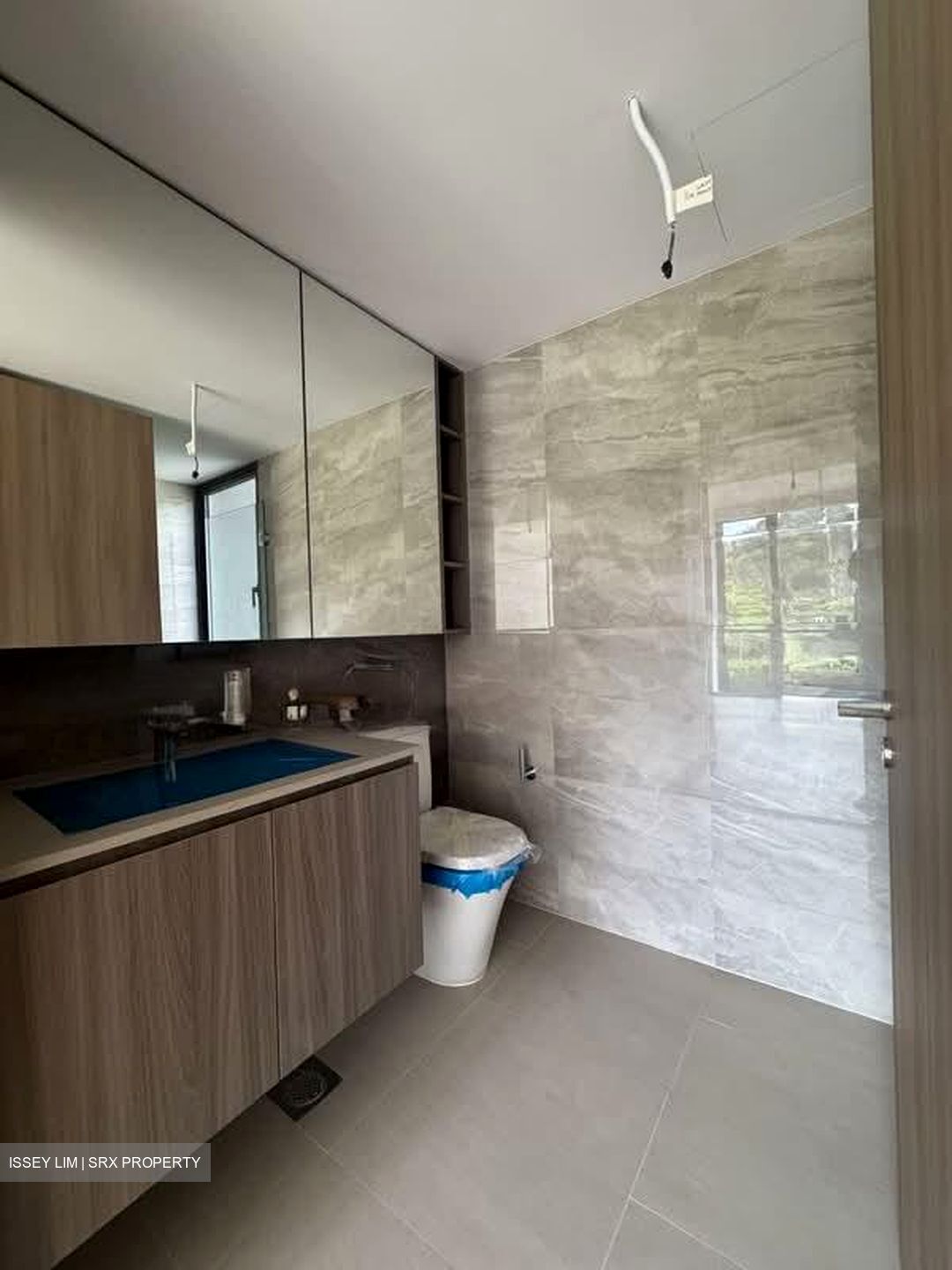 The Botany At Dairy Farm (D23), Condominium #528511281